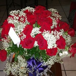 Meet your Posher, Iris